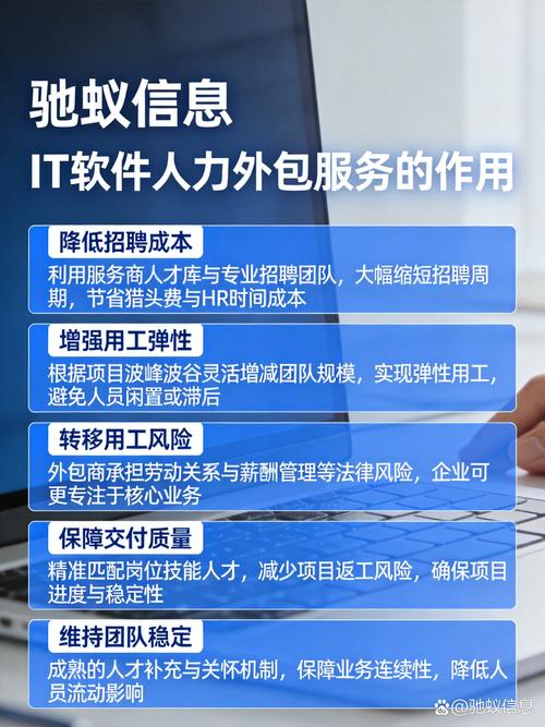 it软件人力外包服务的作用: